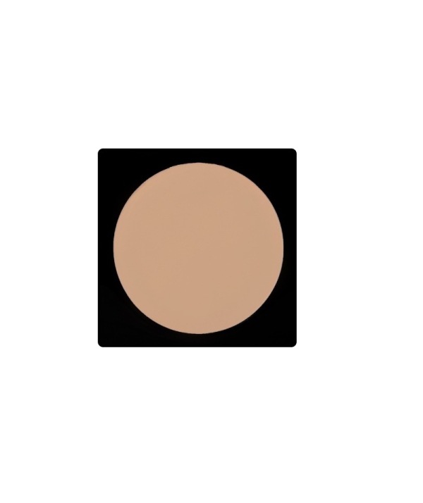 قیمت پنکک لاکچری کوین 102